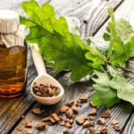 Healing power of English Oak