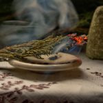 The magical properties of wormwood (Artemisia absinthium)