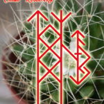 Becoming A "Thorn" Author: Irisha