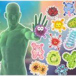 Intestines and immunity, part 1 Author: Gella