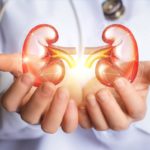 Kidneys Author: Gella