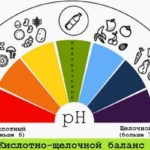 Alignment of the acid-base balance or acidification of the body-an introduction to the problem. Author: Gella