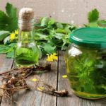 Forgotten properties of celandine in the treatment of cancer and not only.