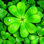 Words that promote good luck